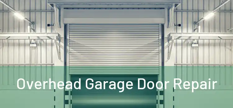  Overhead Garage Door Repair 